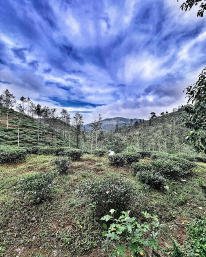 Noah'S Nest Tree House Leilighet Thekkady Eksteriør bilde