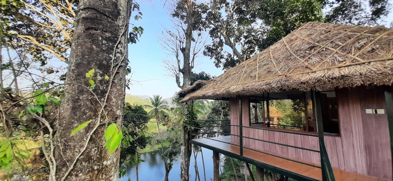 Noah'S Nest Tree House Leilighet Thekkady Eksteriør bilde