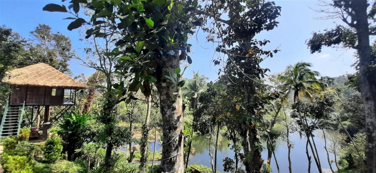 Noah'S Nest Tree House Leilighet Thekkady Eksteriør bilde