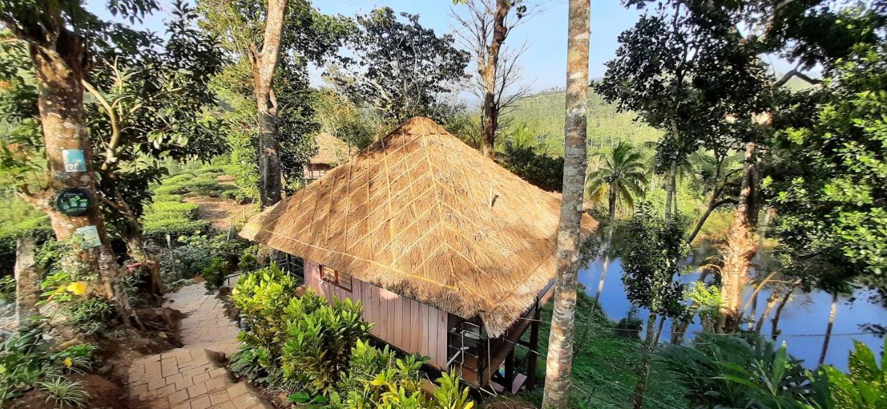 Noah'S Nest Tree House Leilighet Thekkady Eksteriør bilde