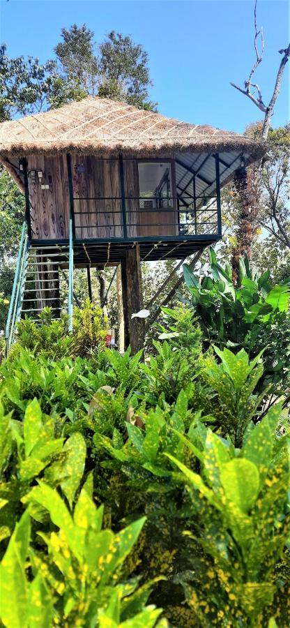 Noah'S Nest Tree House Leilighet Thekkady Eksteriør bilde