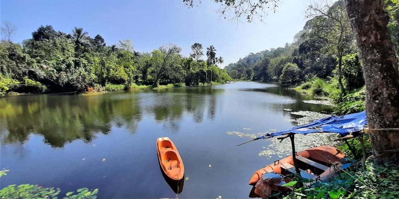 Noah'S Nest Tree House Leilighet Thekkady Eksteriør bilde