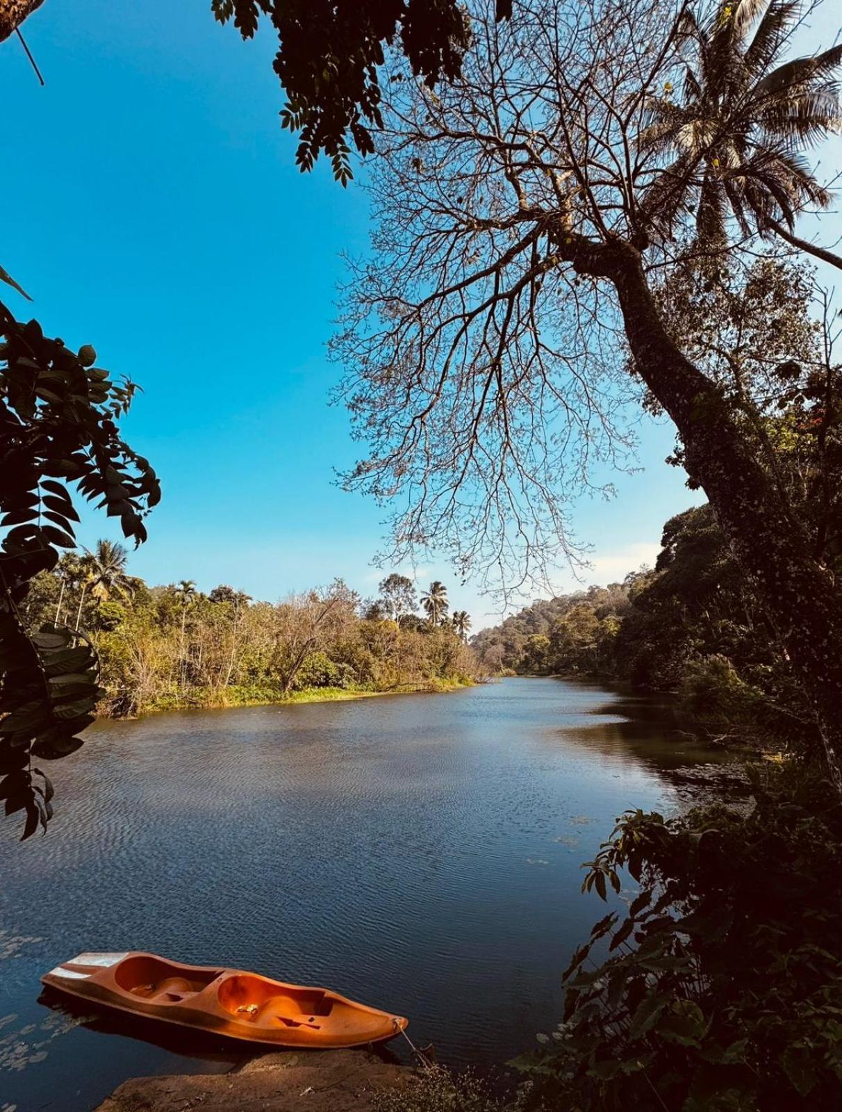 Noah'S Nest Tree House Leilighet Thekkady Eksteriør bilde