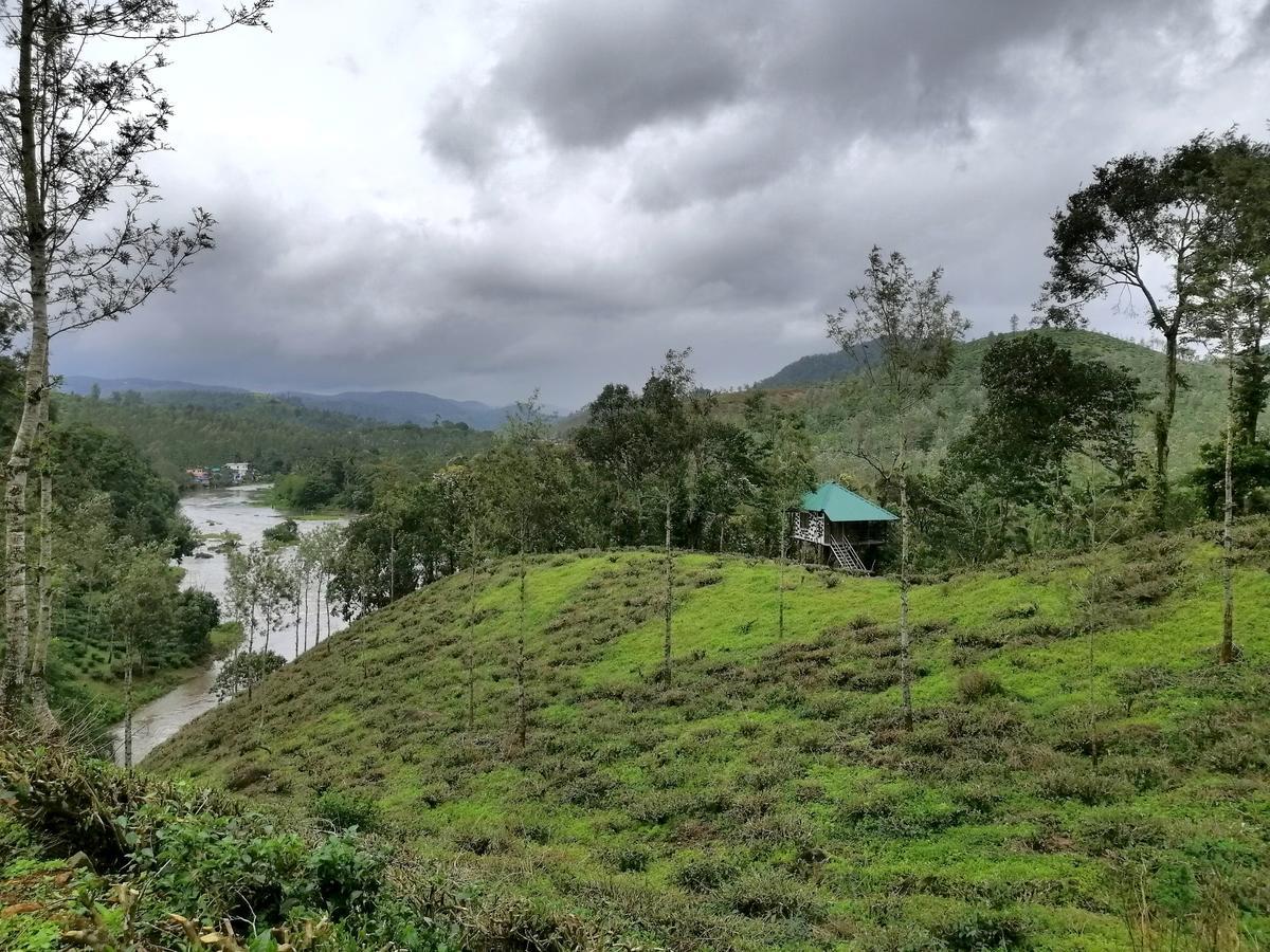 Noah'S Nest Tree House Leilighet Thekkady Eksteriør bilde