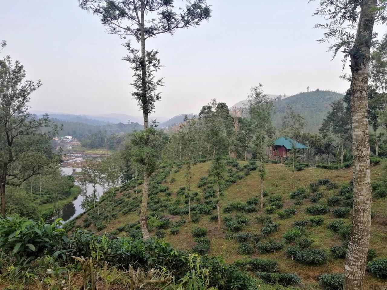 Noah'S Nest Tree House Leilighet Thekkady Eksteriør bilde