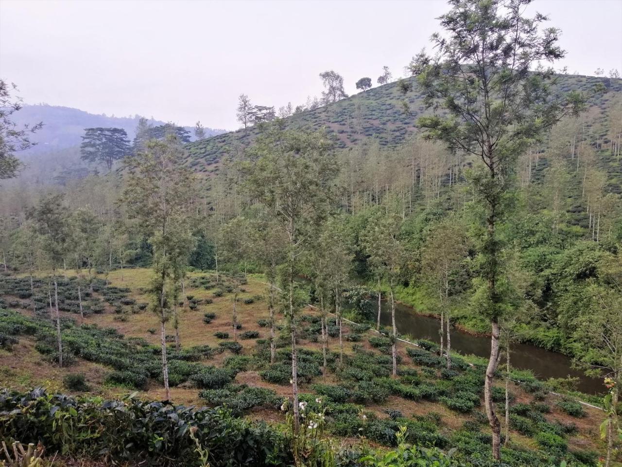 Noah'S Nest Tree House Leilighet Thekkady Eksteriør bilde