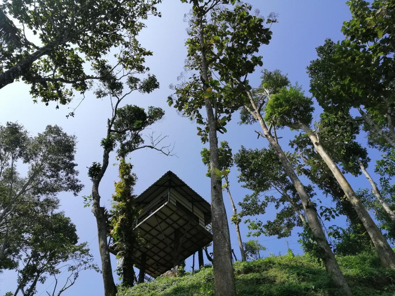 Noah'S Nest Tree House Leilighet Thekkady Eksteriør bilde