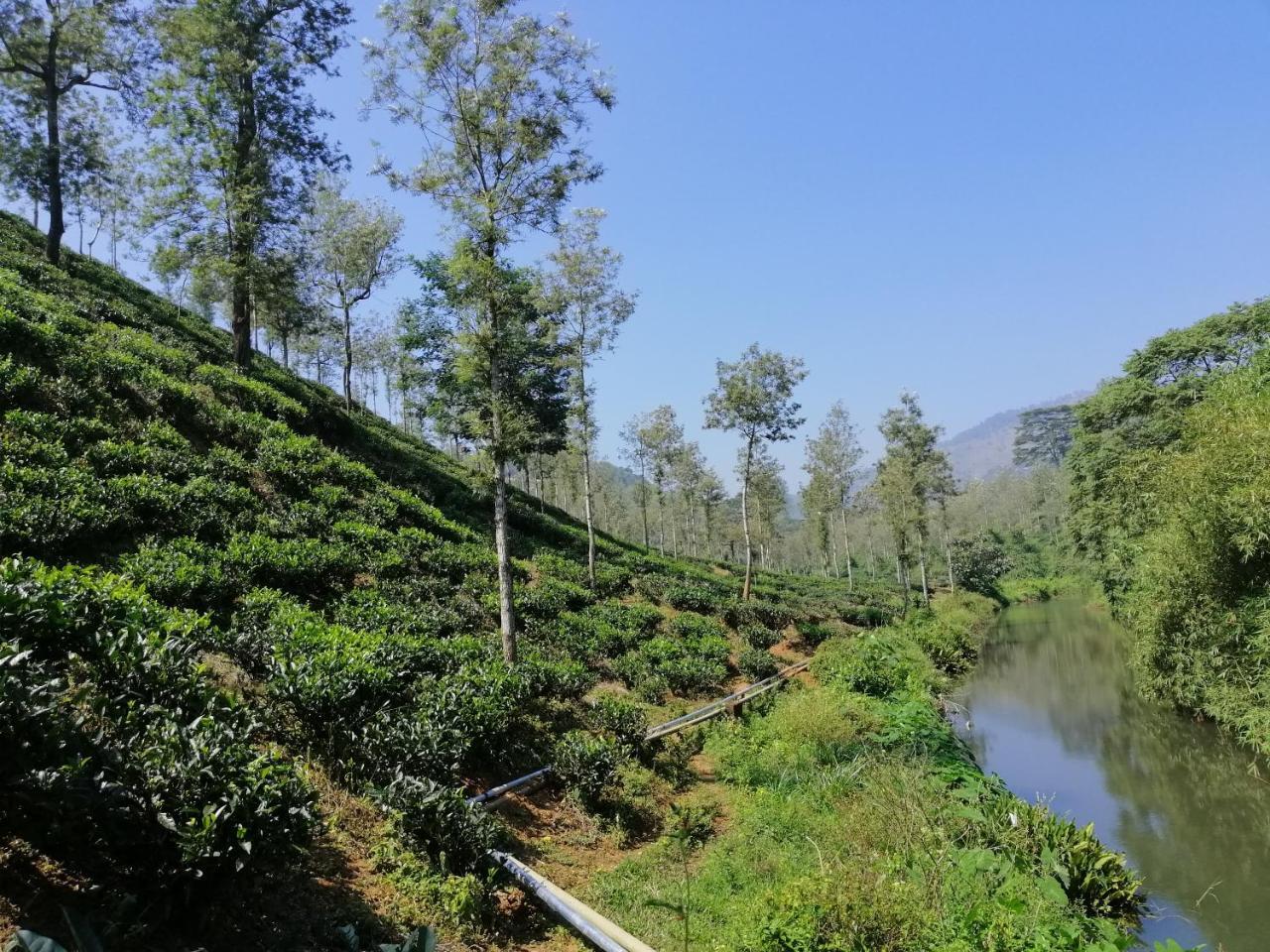 Noah'S Nest Tree House Leilighet Thekkady Eksteriør bilde